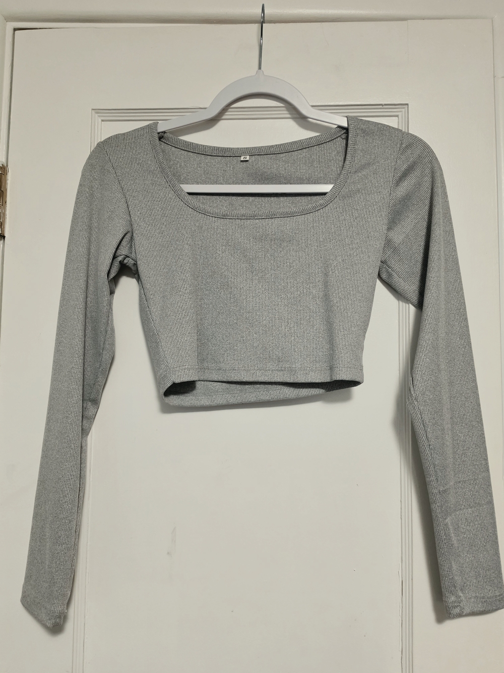 Source Unknown Silver Gray Long-Sleeve Scoop Crop Top